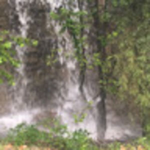 Meet your Posher, Deana